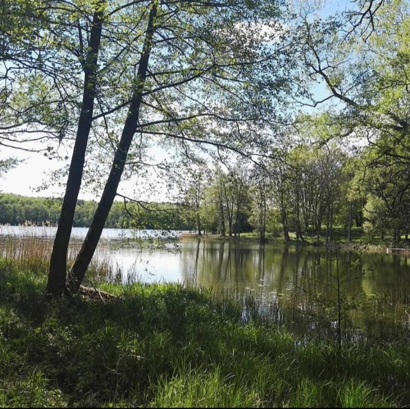 Hotel Im Park Sorkwity Eksteriør billede